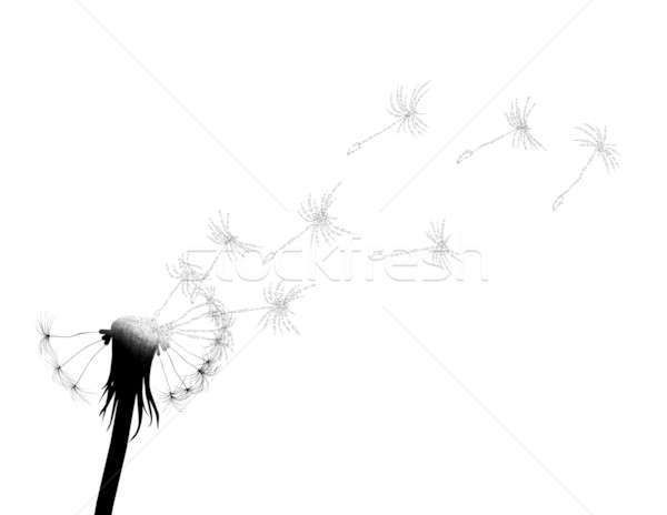 600x464 Blow Dandelion Stock Photo Palto