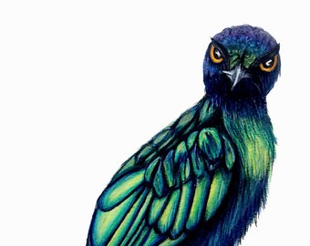 340x270 Blue Bird Drawing Etsy