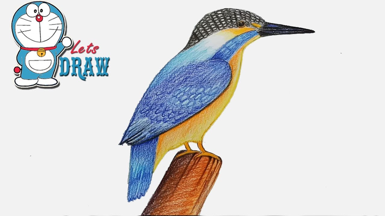 1280x720 how to draw kingfisher step
