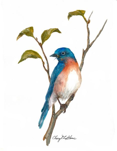 Blue Bird Drawing | Free download on ClipArtMag