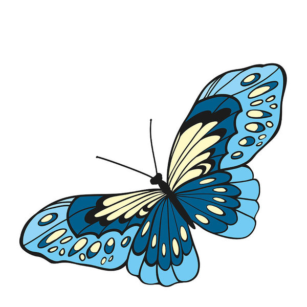 600x600 Blue Butterfly With Open Wings In A Top View Art Print
