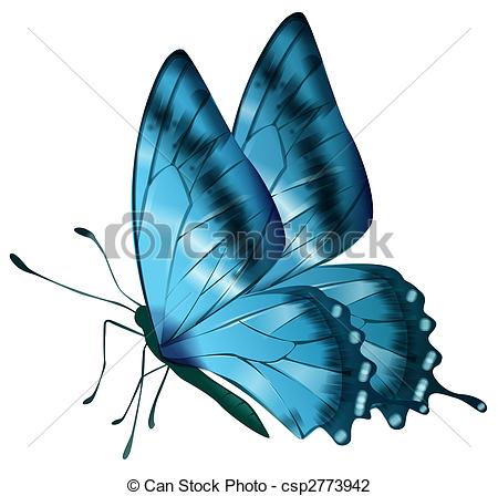450x448 Drawing Of Blue Butterfly In A White Background