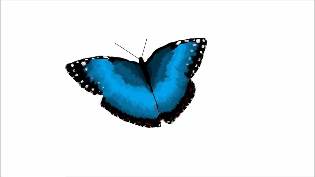 1280x720 Ms Paint Digital Drawing Drawing A Blue Monarch Butterfly