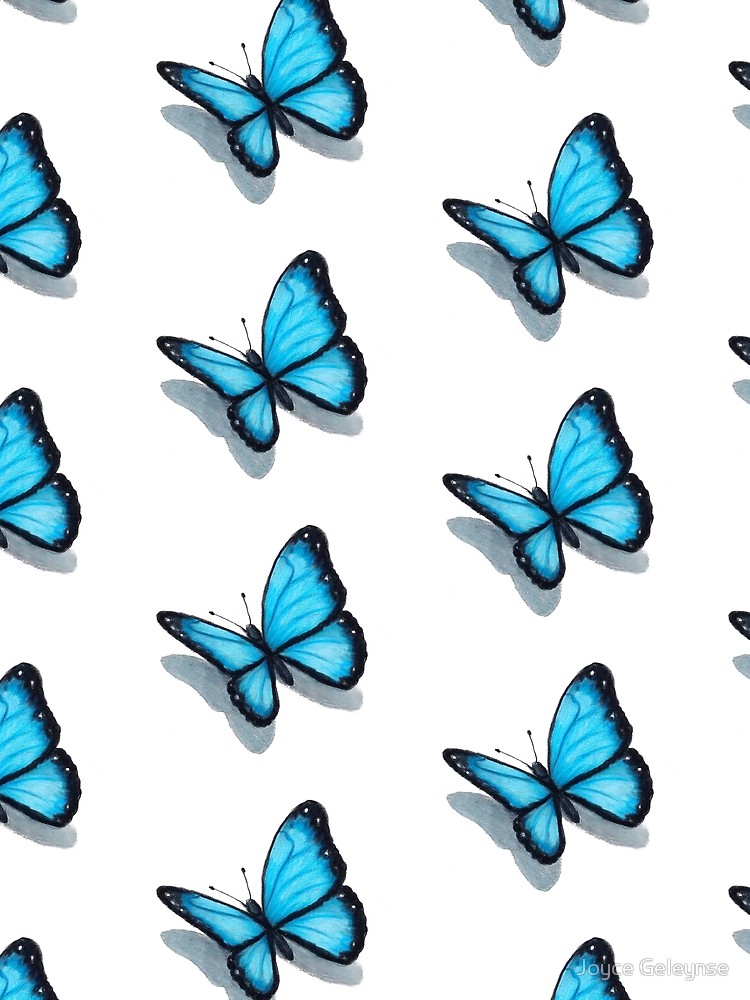 Blue Butterfly Drawing | Free download on ClipArtMag