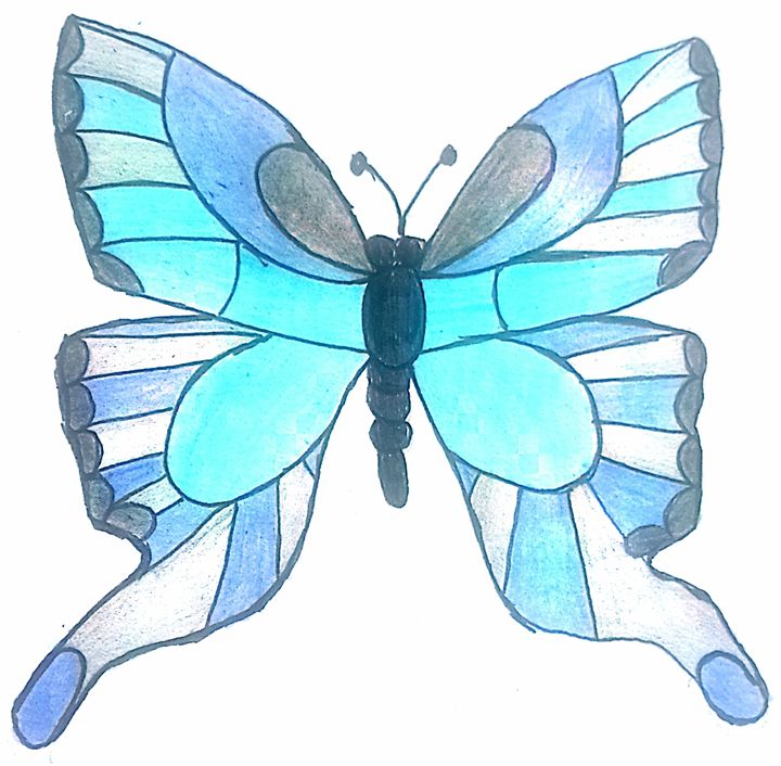 720x706 Blue Butterfly