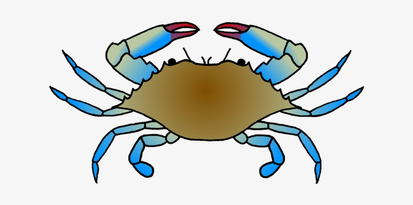 820x408 blue crab galleries panda images