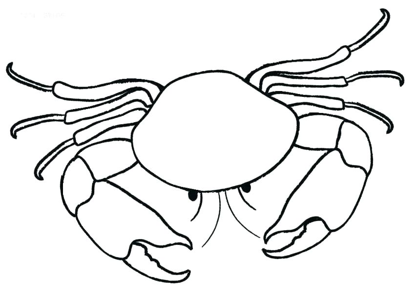 850x608 Crab Coloring