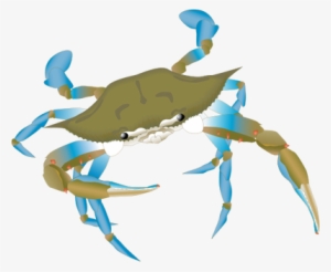 300x246 Blue Crab Drawing