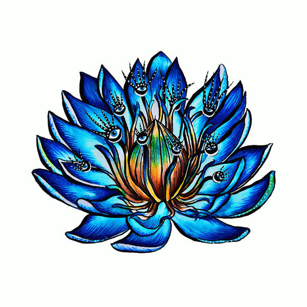 600x600 Blue Water Lily Drawings Fine Art America