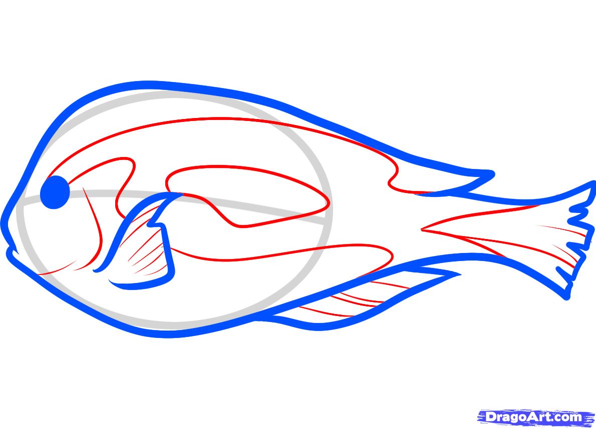 1190x858 Draw A Blue Tang, Step