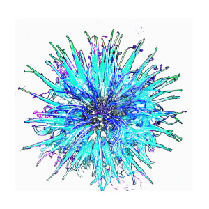 300x300 blue spiky flower drawing photograph