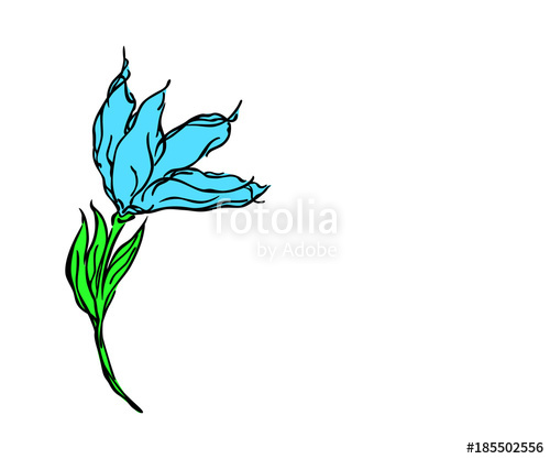 500x417 Drawing Of A Blue Flower On A White Background, Vector