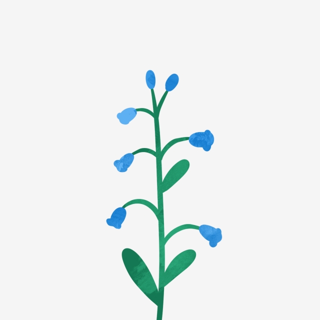 640x640 Hand Drawn Beautiful Blue Flower, Drawing, Nature, Cute Png