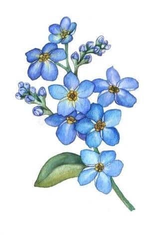 313x470 Tattoo Blue Flower Tattoos, Flower Bouquet