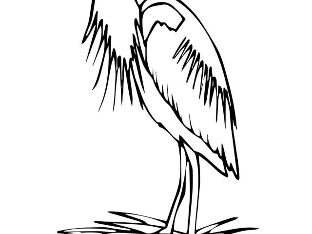 640x480 Free Great Blue Heron Clipart, Download Free Clip Art