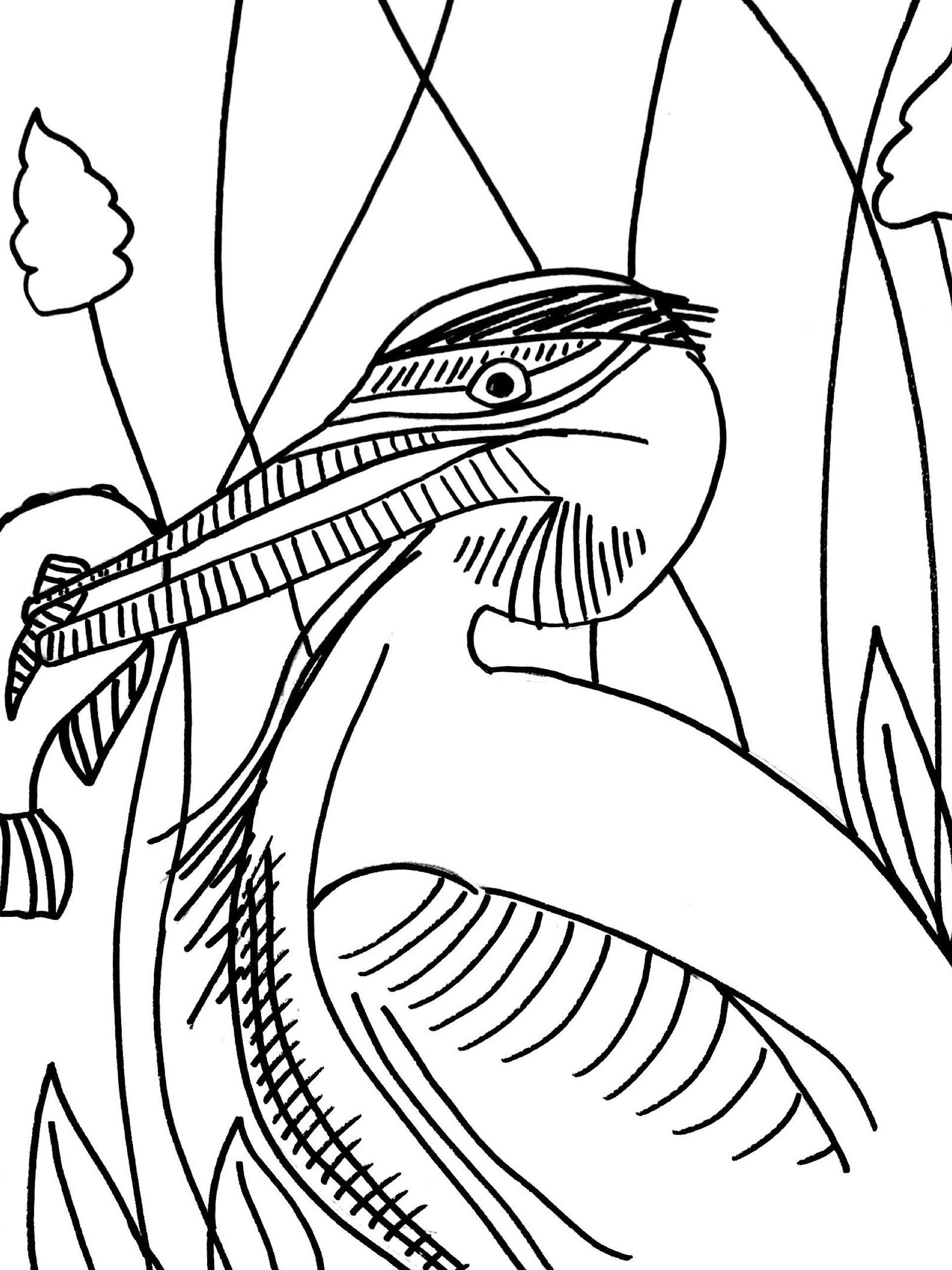 1925x2568 Great Blue Heron Coloring