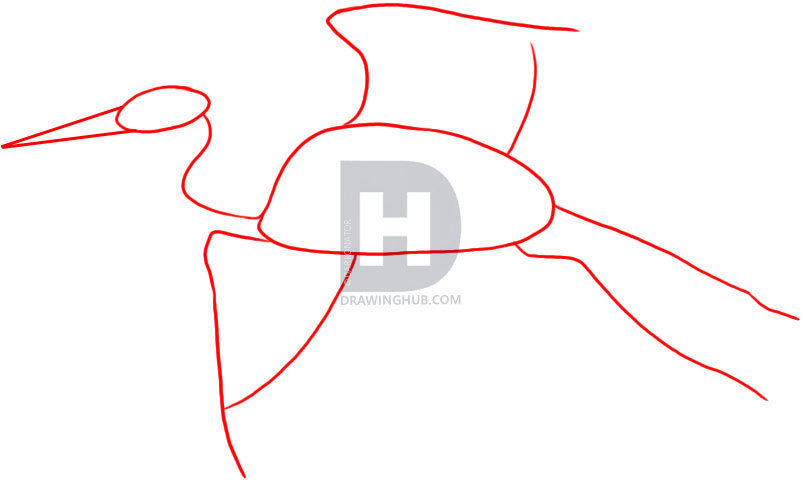 809x483 How To Draw A Heron, Step