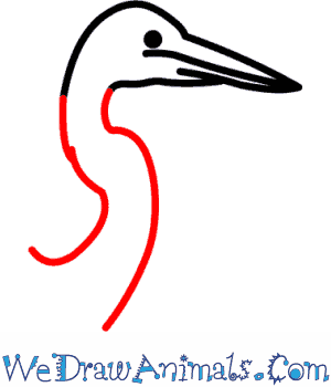 300x350 How To Draw A Great Blue Heron