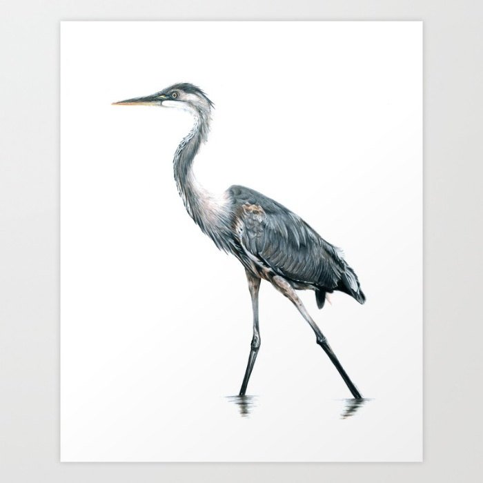 700x700 Blue Heron Print Etsy