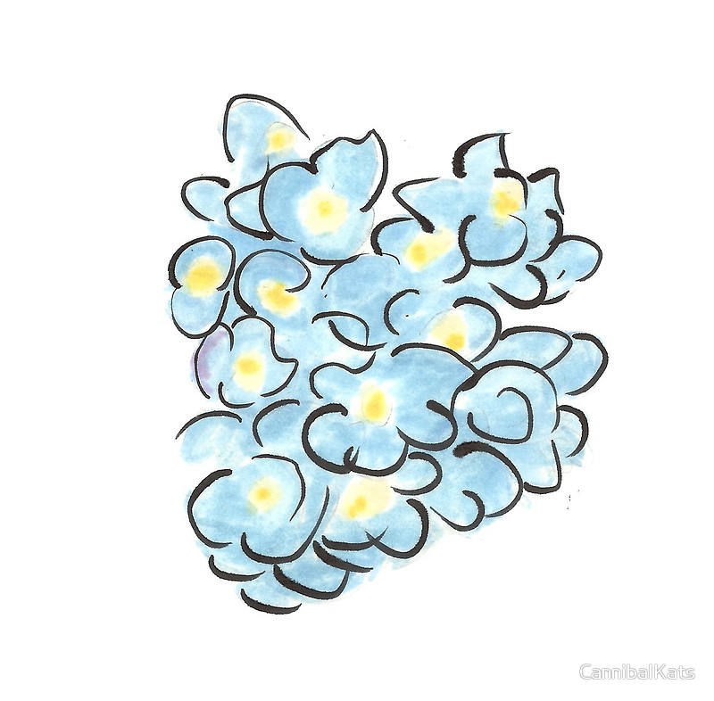 800x786 hydrangea