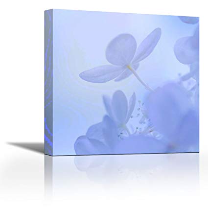 425x425 karmakara hydrangea blossom ii print on canvas floral botanical