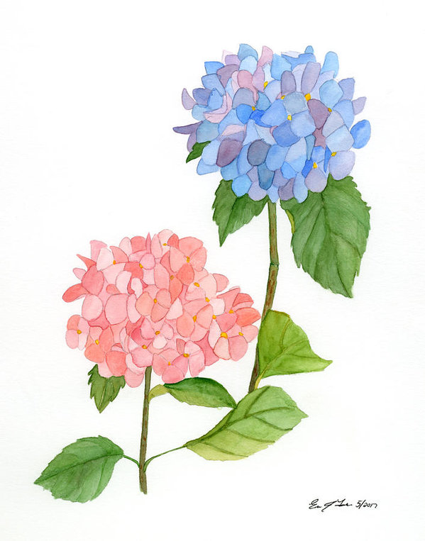 599x763 Teachers Day Paintings