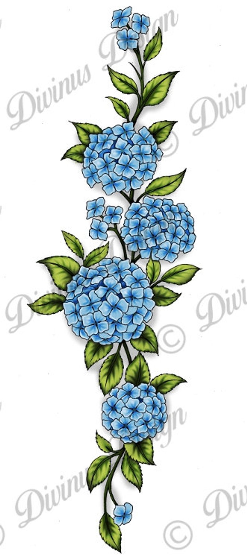 794x1799 Wrap Around Hydrangeas Flower Tattoo And Stencil Instant Etsy
