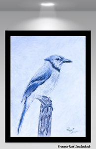 194x300 Blue Jay Bird