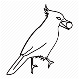 260x260 Bird, Drawing, Sketch, Transparent Png Image Clipart Free Download