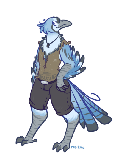 400x533 Blue Jay Tumblr