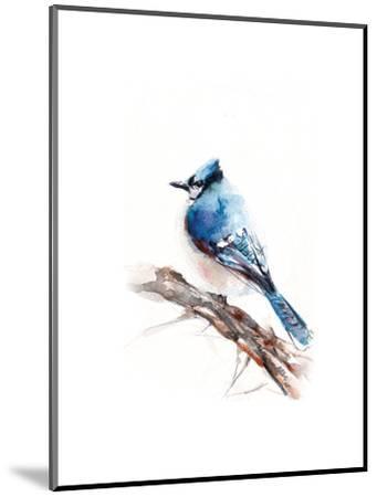 Blue Jay Drawing | Free download on ClipArtMag