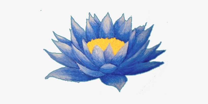 820x412 Lotus Flower Tattoos High Quality Photos And Flash