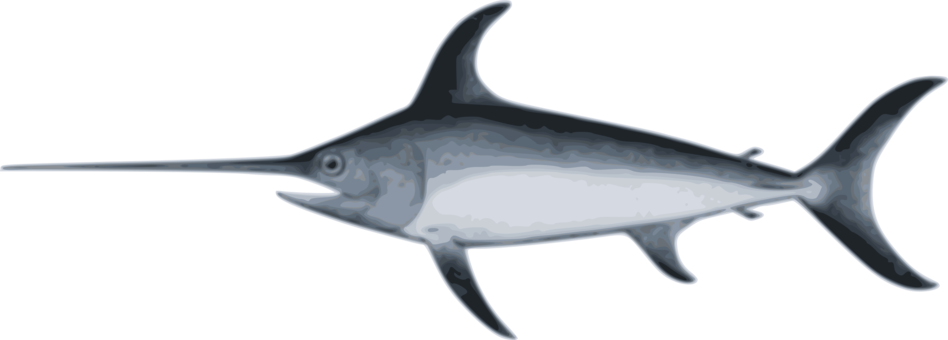 948x340 Collection Of Free Swordfish Drawing Cartoon Download On Ui Ex