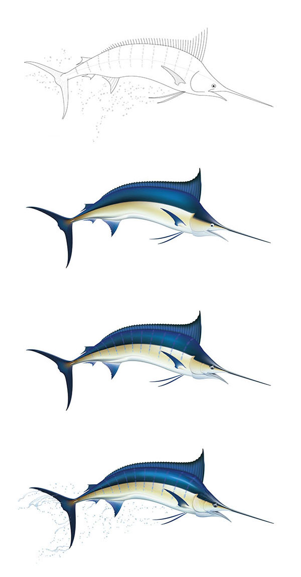 600x1150 Drawing Of A Blue Marlin On Behance
