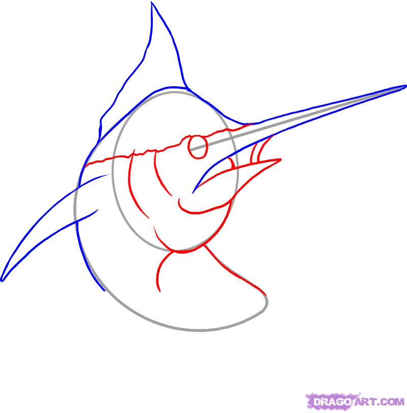 799x811 How To Draw A Marlin, Step