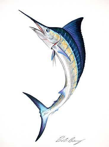 Blue Marlin Drawing | Free download on ClipArtMag