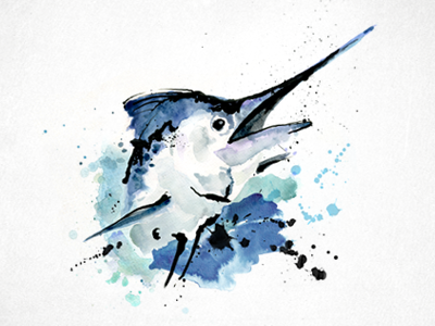 400x300 Marlin In Illustrations Watercolor Fish, Fish Drawings
