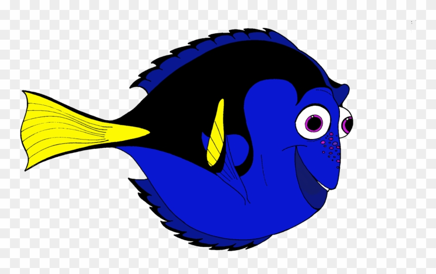 880x552 Marlin Clownfish Drawing Zebra Transprent Png Free Clipart