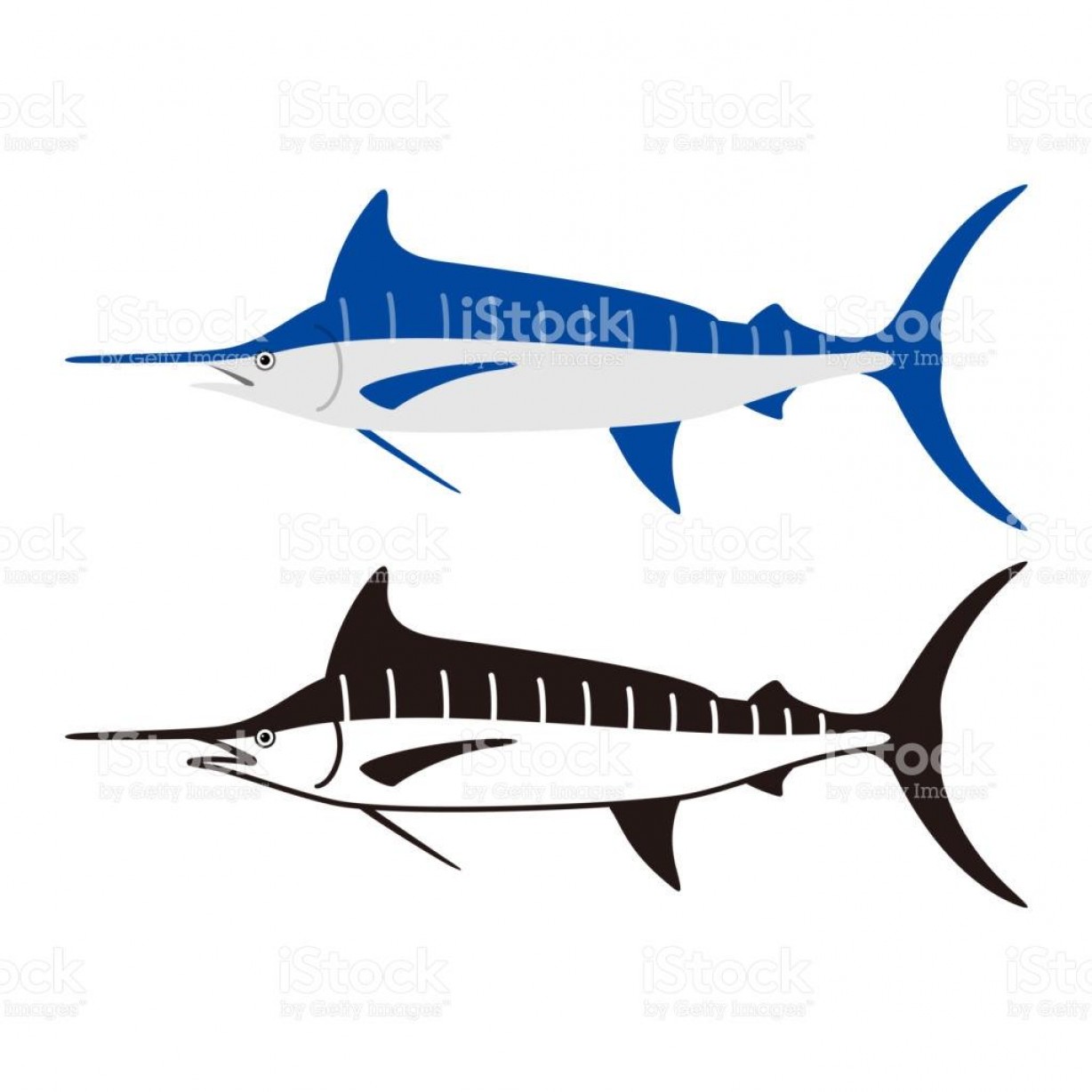 1228x1228 Marlin Fish Vector Lamaison