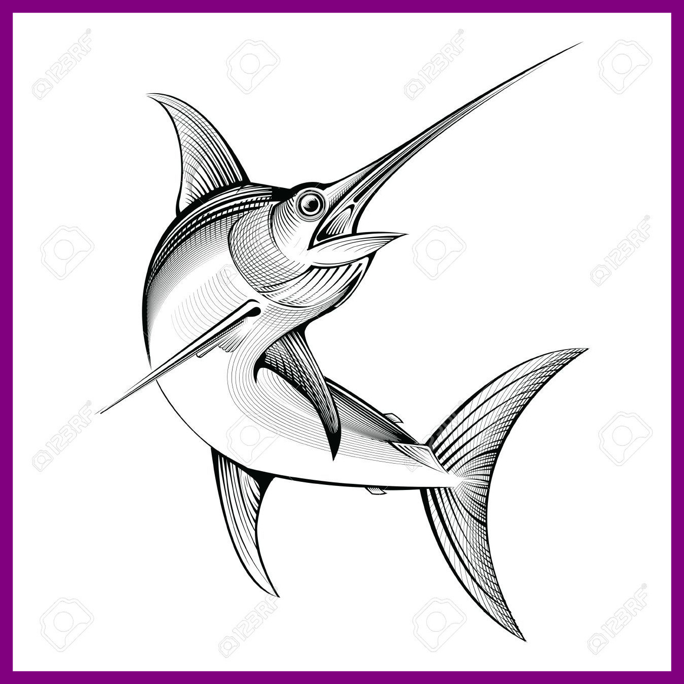 1350x1350 Swordfish Clipart Drawing