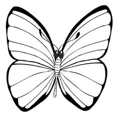 236x227 Blue Morpho Butterfly Coloring