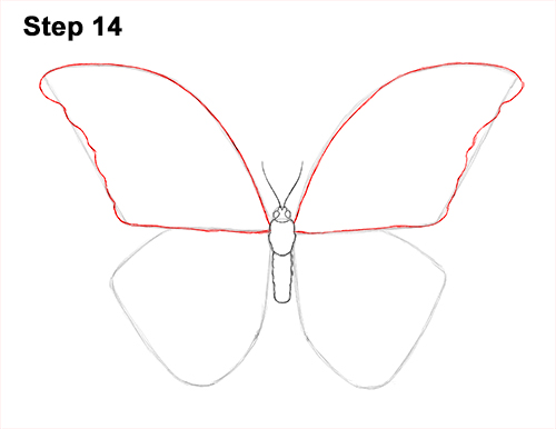 500x386 How To Draw A Butterfly