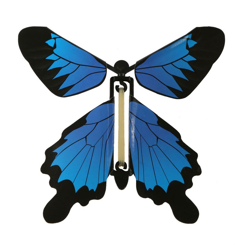 800x800 Morpho Butterfly Cliparts