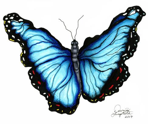 500x408 Products Tagged Blue Morpho Dawn Langstroth Art