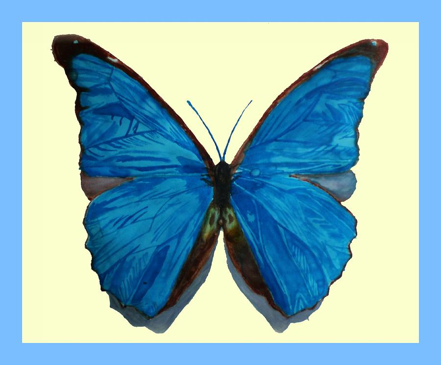 900x745 The Blue Morpho Butterfly Drawing