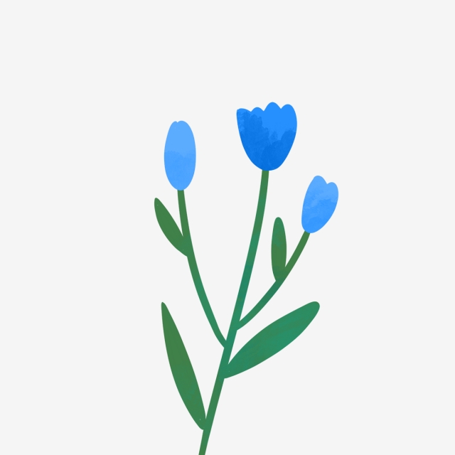 640x640 Hand Drawn Beautiful Blue Lily, Drawing, Spring, Nature Png