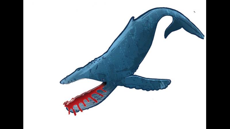 800x448 Blue Whale Is Death Trap Exposing Isolation Of Kids