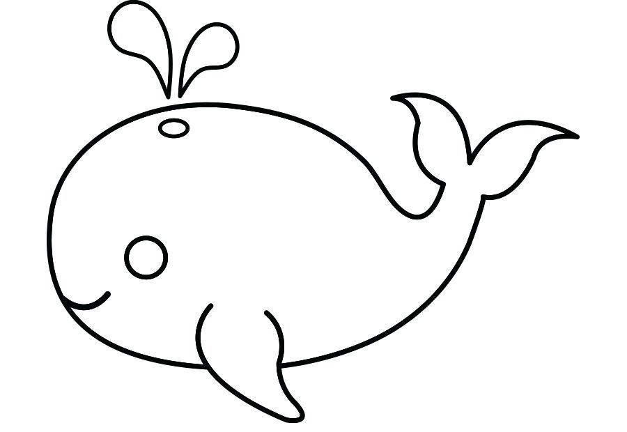 900x620 Cute Whale Drawing Little Blue Whale