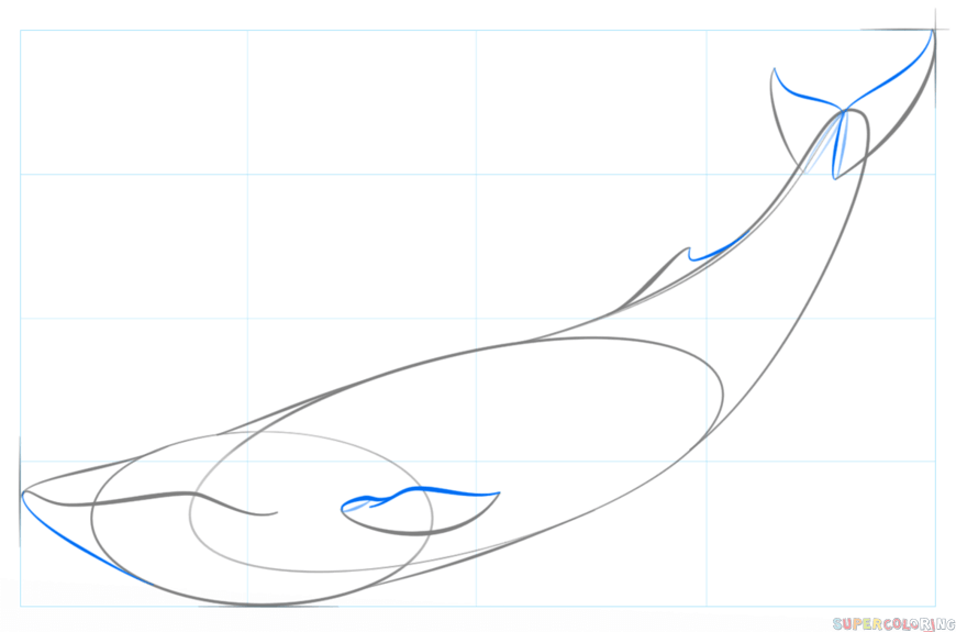 870x575 How To Draw A Blue Whale Step