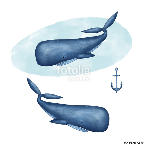 500x500 Drawing Blue Whale, Water And Anchor On A White Background Stock
